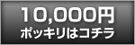 10000円ポッキリで探す