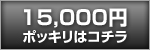 15000円ポッキリで探す